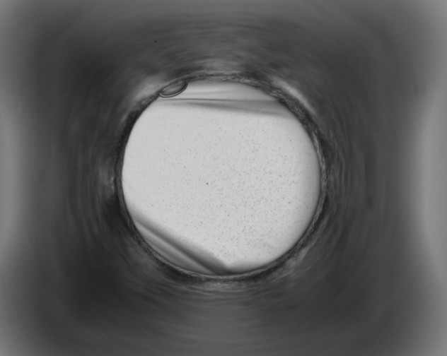 X0000082951451200703020139