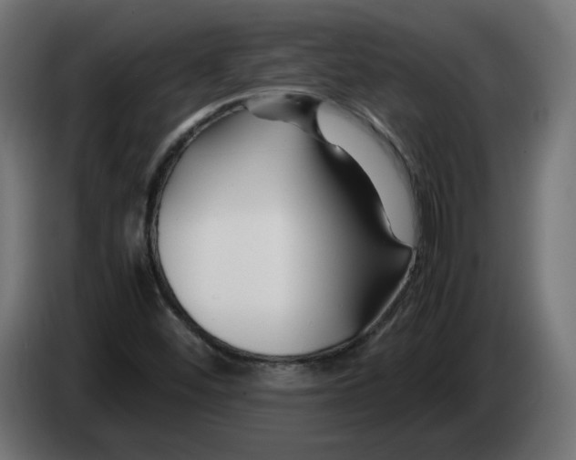 X0000082951452200703020139