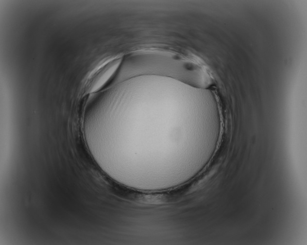 X0000082951453200703020139