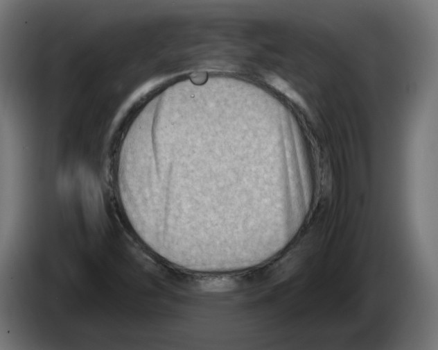 X0000082951454200703020139