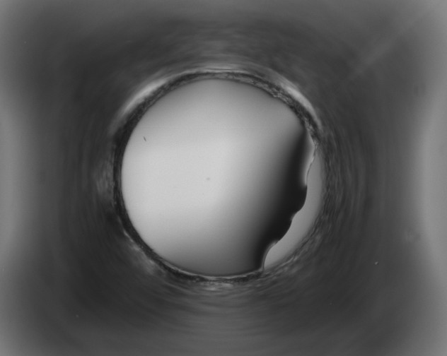 X0000082951456200703020139