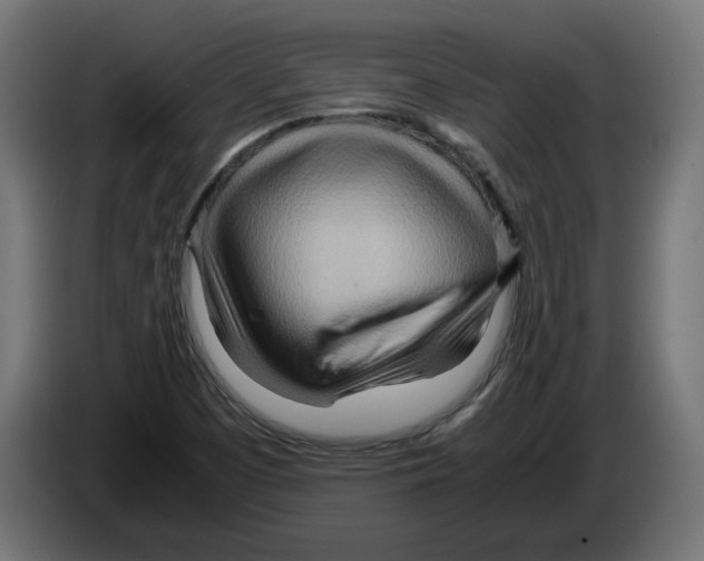 X0000082951457200703020139