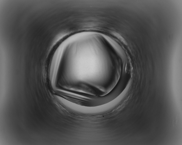 X0000082951458200703020139