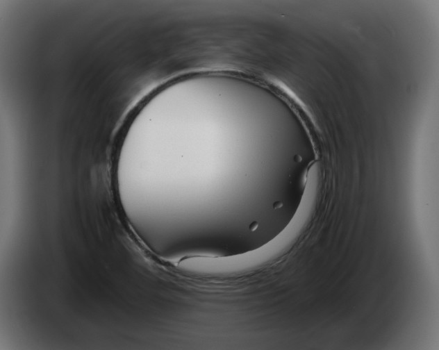 X0000082951460200703020139