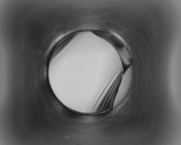 X0000082951461200703020139