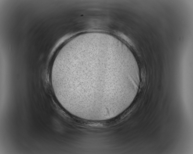 X0000082951462200703020139