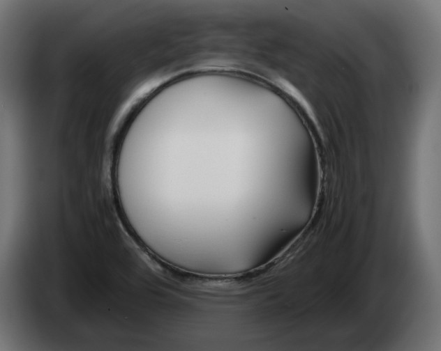 X0000082951464200703020139