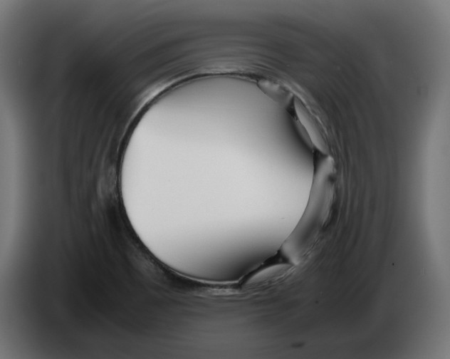 X0000082951465200703020139