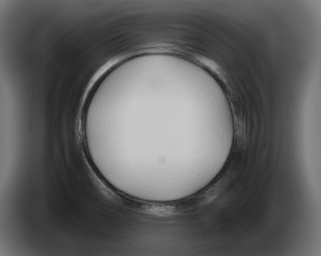 X0000082951466200703020138