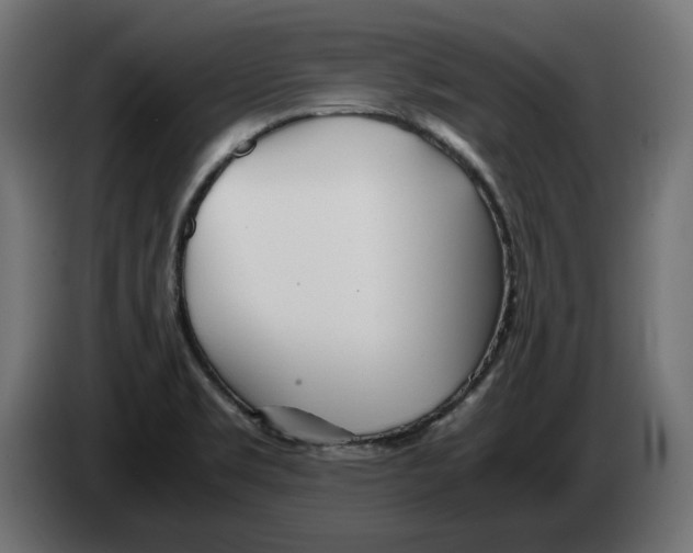 X0000082951469200703020138