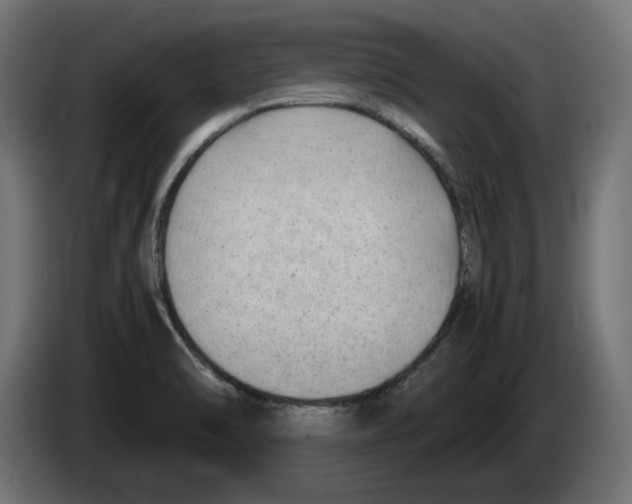 X0000082951470200703020138