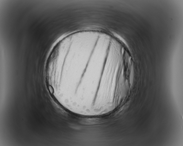 X0000082951471200703020138