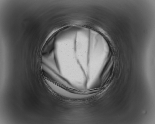 X0000082951473200703020138