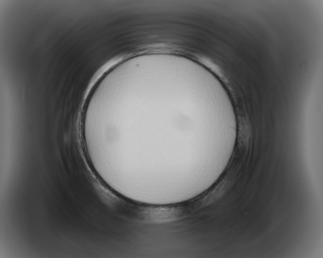 X0000082951474200703020138