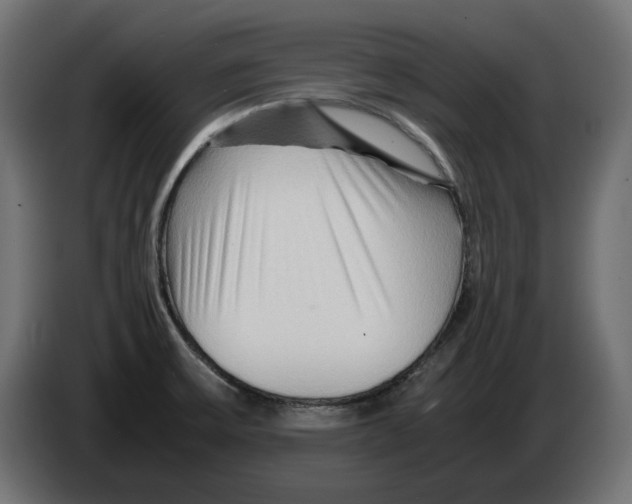 X0000082951475200703020138