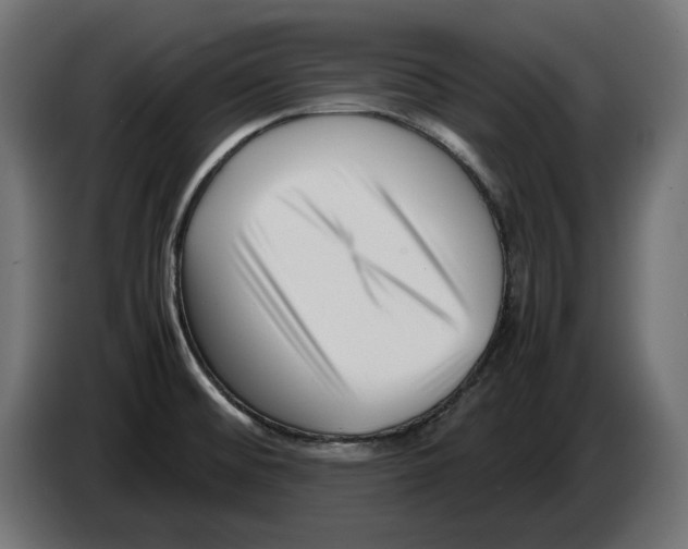 X0000082951476200703020138