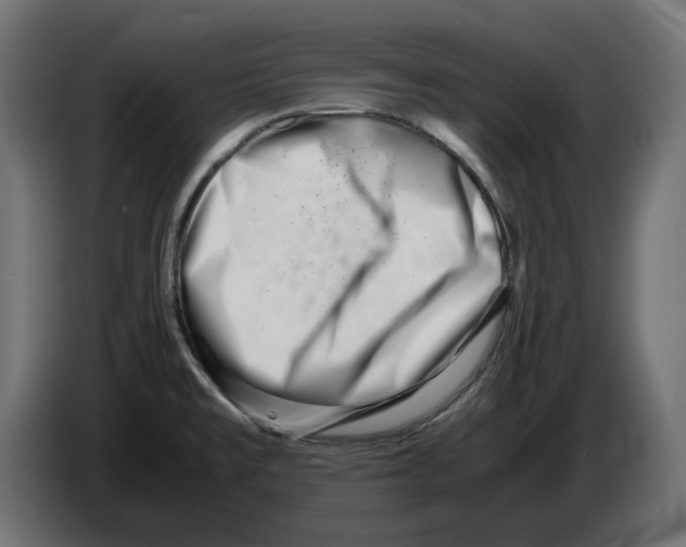 X0000082951477200703020138