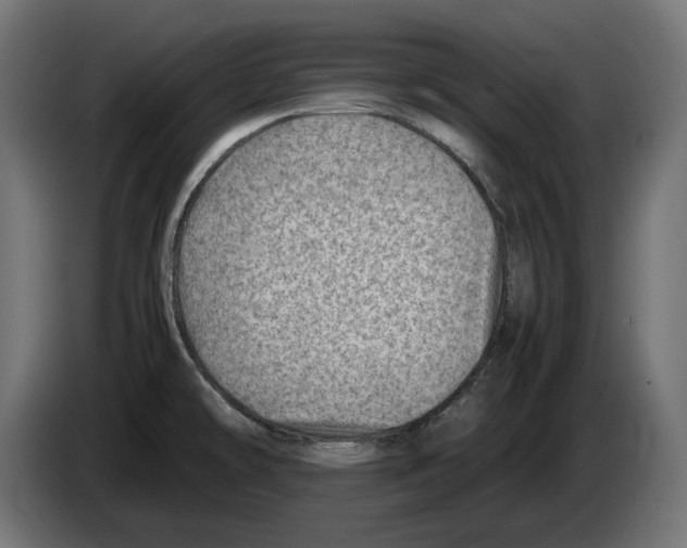 X0000082951478200703020138