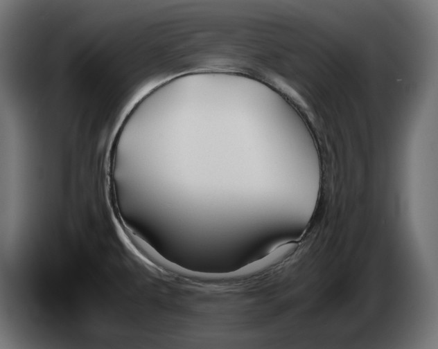 X0000082951479200703020138