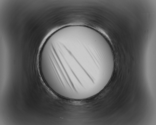 X0000082951480200703020138