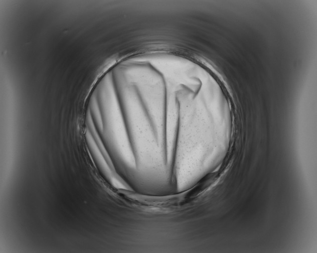 X0000082951481200703020138