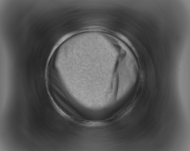 X0000082951482200703020138