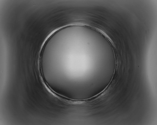 X0000082951484200703020138