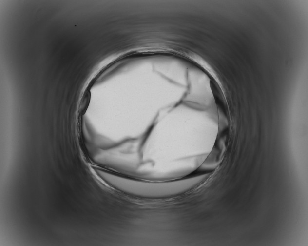 X0000082951485200703020138