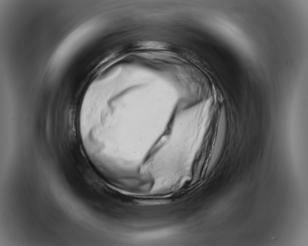 X0000082951487200703020138