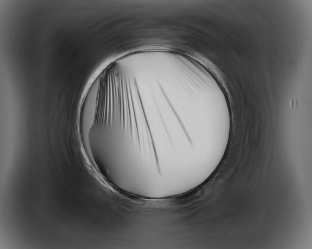 X0000082951488200703020138