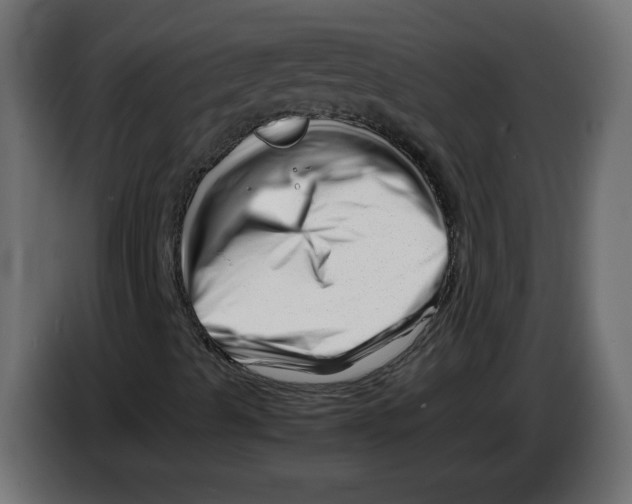 X0000082951489200703020138