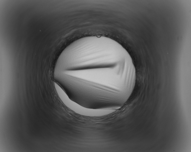 X0000082951490200703020138