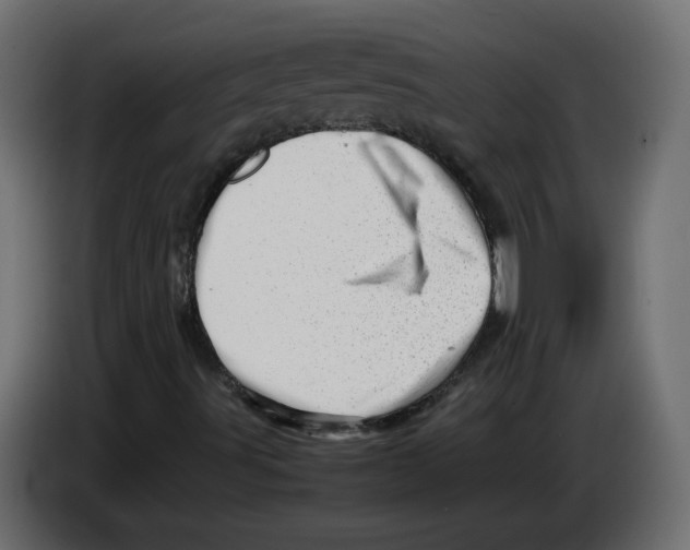 X0000082951491200703020138