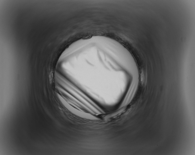 X0000082951492200703020138