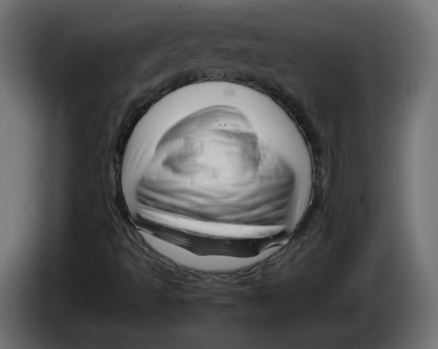 X0000082951493200703020138