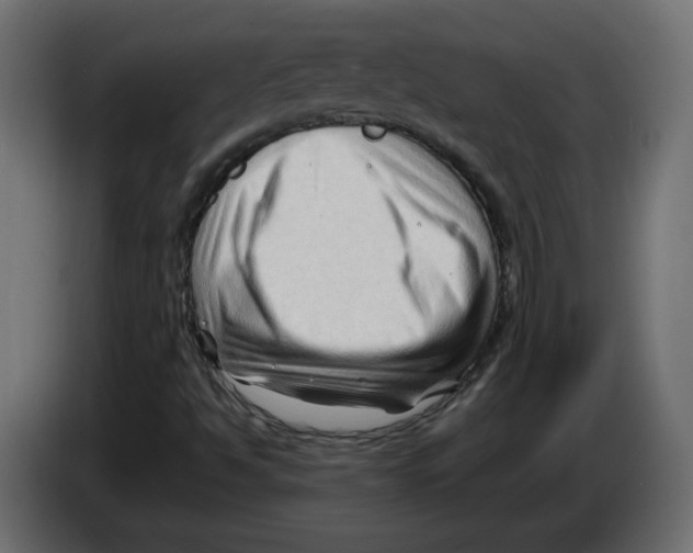 X0000082951494200703020138