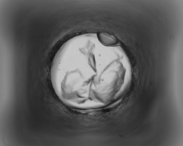 X0000082951495200703020138