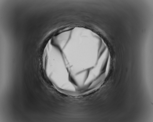 X0000082951496200703020138