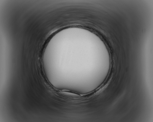 X0000082951497200703020138