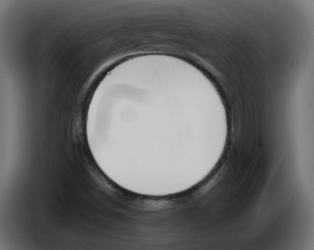 X0000082951498200703020138