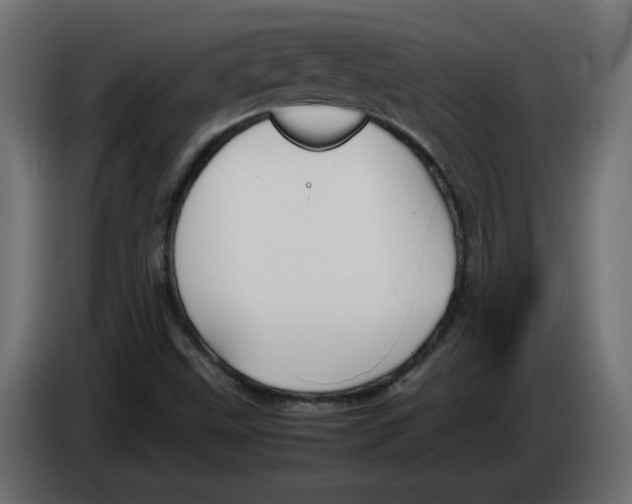 X0000082951499200703020138