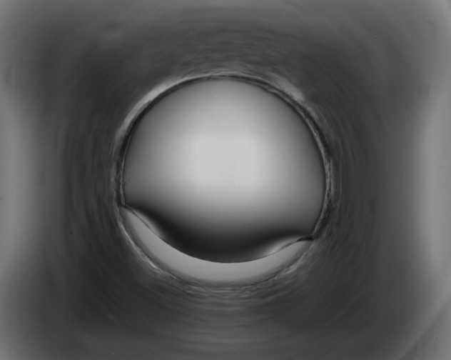 X0000082951500200703020138