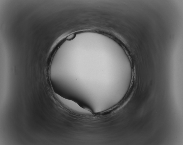 X0000082951501200703020138