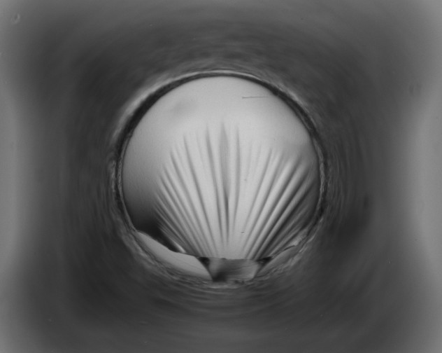 X0000082951503200703020138