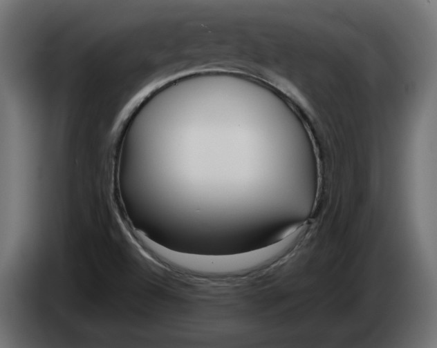 X0000082951504200703020138