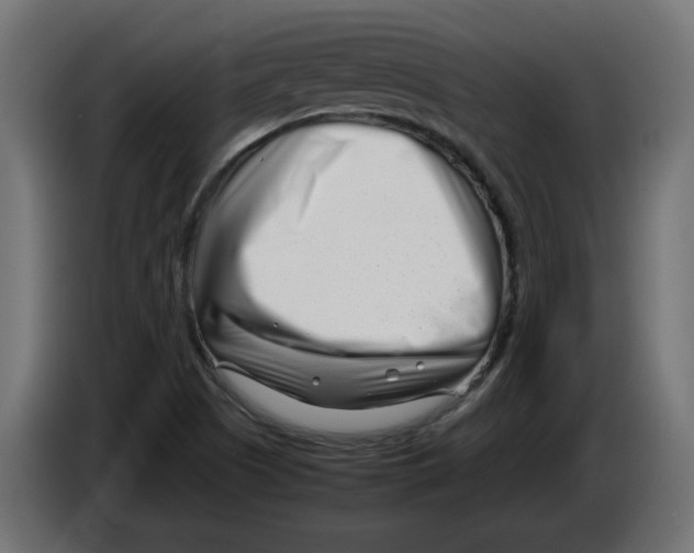 X0000082951505200703020138