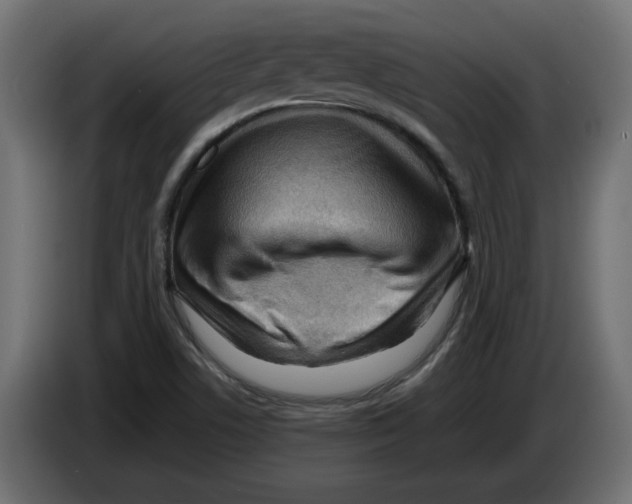 X0000082951506200703020138