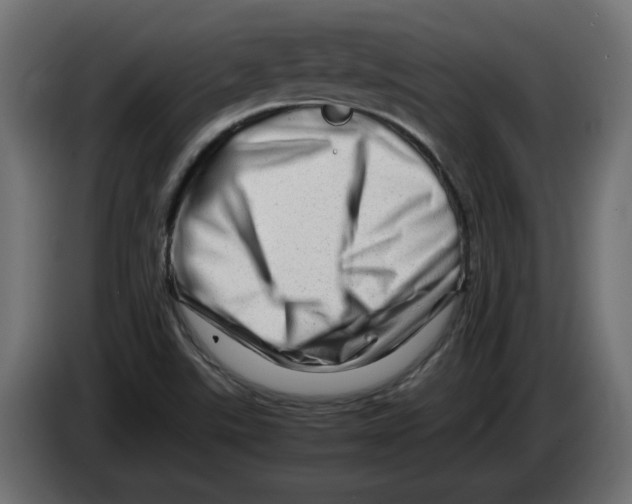 X0000082951507200703020138