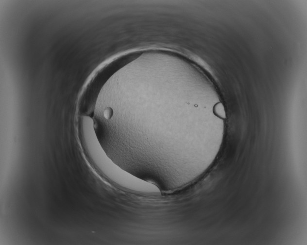 X0000082951508200703020138