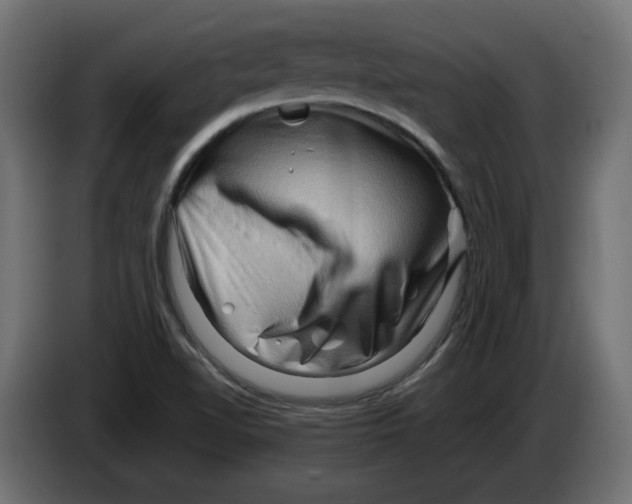 X0000082951510200703020138